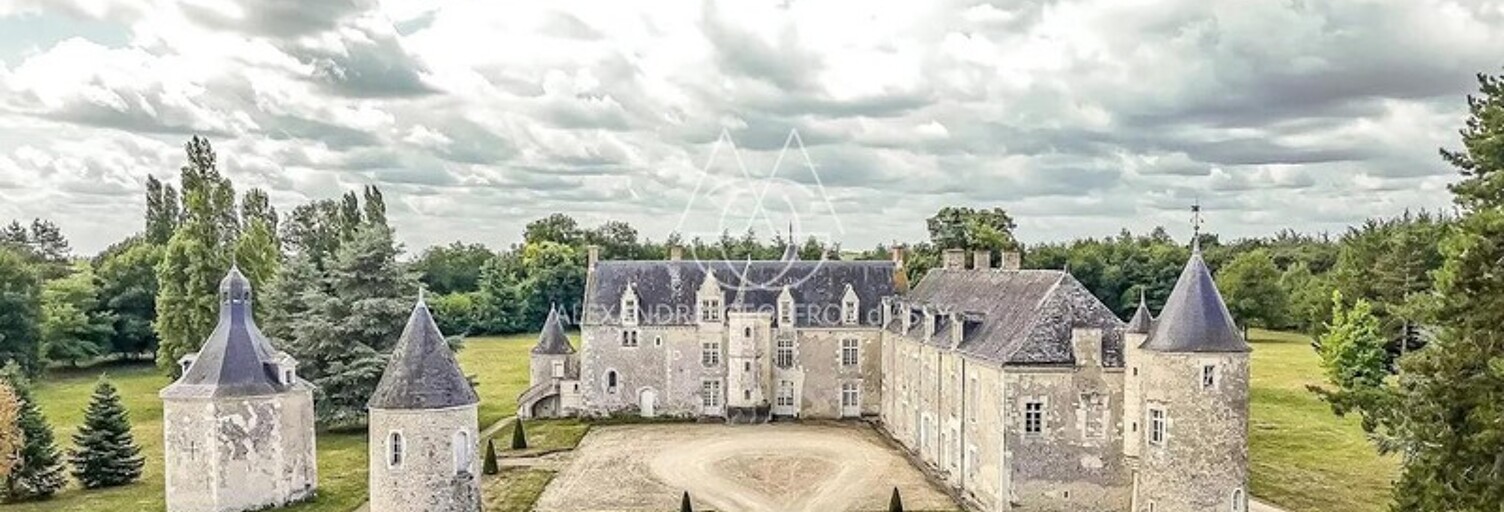 Maison 20 Pièces 750 m² à vendre à Château-la-Vallière (37330)