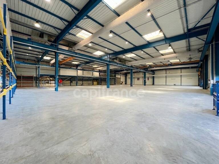 Site industriel et logistique de 7 160 m² sur 5,1 ha - Accès N10 - Chevanceaux (17) — photo 1