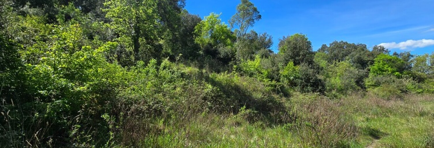 Terrain  1782 m² à vendre à Quintillan (11360)