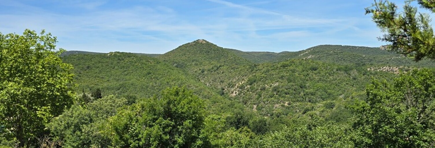 Terrain  1782 m² à vendre à Quintillan (11360)