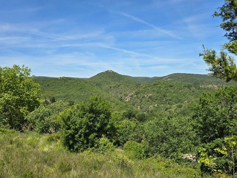 ⭐ Terrain viabilisé 1792 m² - Permis accordé - Vue exceptionnelle — photo 1