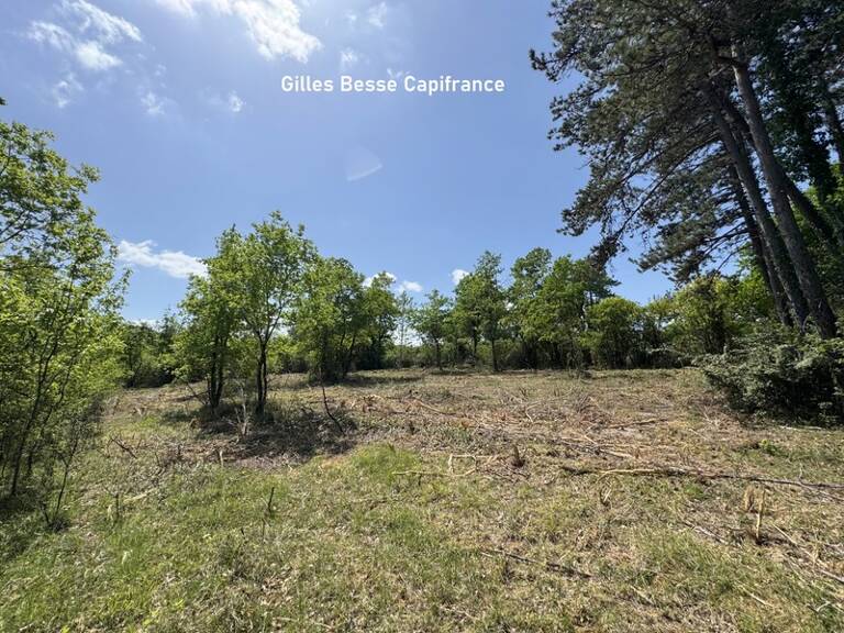 Terrain à vendre  BASSILLAC ET AUBEROCHE (24) — photo 1