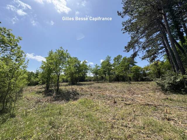 Terrain à vendre  BASSILLAC ET AUBEROCHE (24) — photo du bien