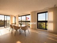 IMMEUBLE MIXTE 530 M2 PROFESSIONNEL / HABITATION - TERRAIN 8 — photo 4