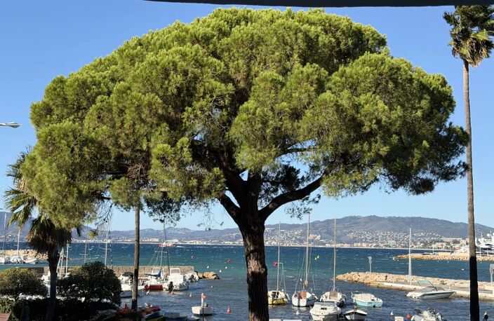 Cannes Croisette vue mer 2P 51 m2 — photo 3