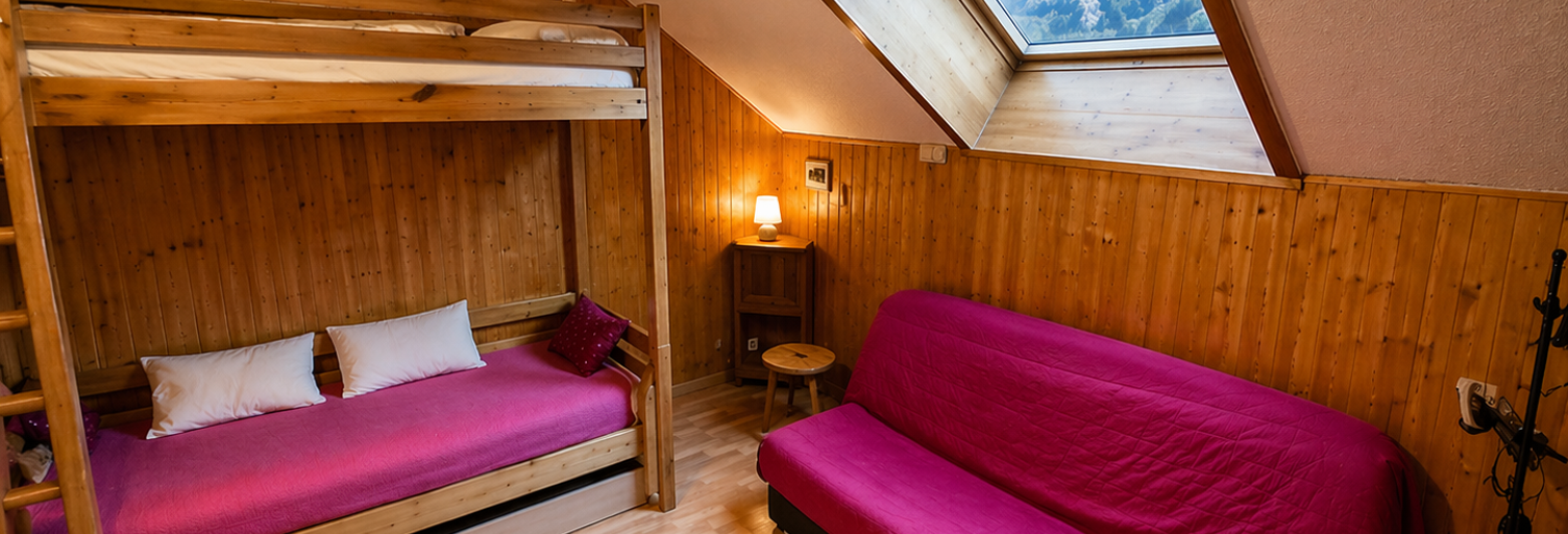 Appartement 1 Pièce 25 m² à vendre à La Grave (05320)