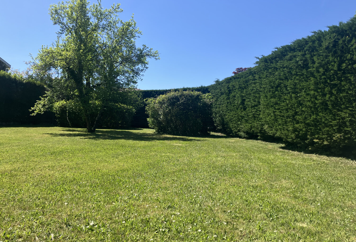 Terrain hors lotissement — photo 1