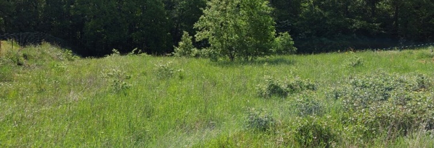 Terrain  2406 m² à vendre à Moirax (47310)