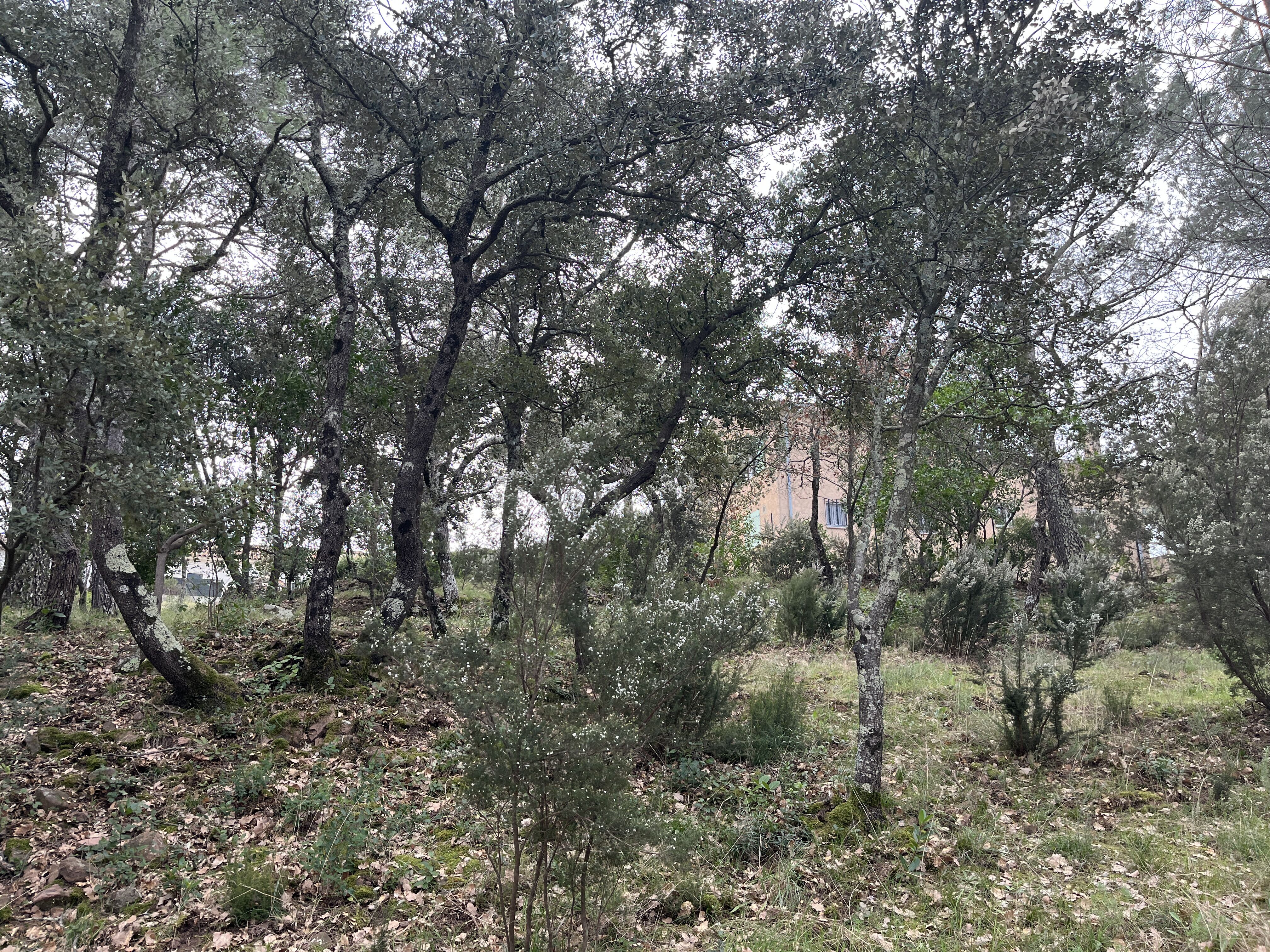 Terrain  à vendre Toulon 83000