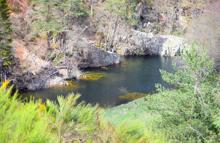 Dépt. 07 - A VENDRE Secteur du LAC D'ISSARLES - Grande Ferme — photo 4