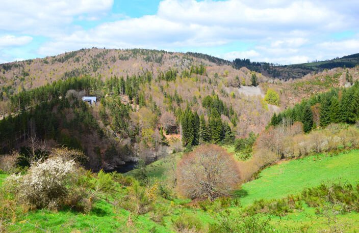 Dépt. 07 - A VENDRE Secteur du LAC D'ISSARLES - Grande Ferme — photo 5
