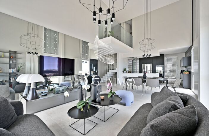 SPLENDIDE PENTHOUSE — photo 5