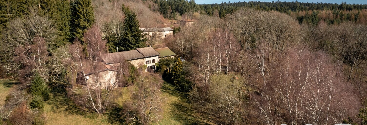 Maison 7 Pièces 200 m² à vendre à Saint-Bonnet-le-Bourg (63630)