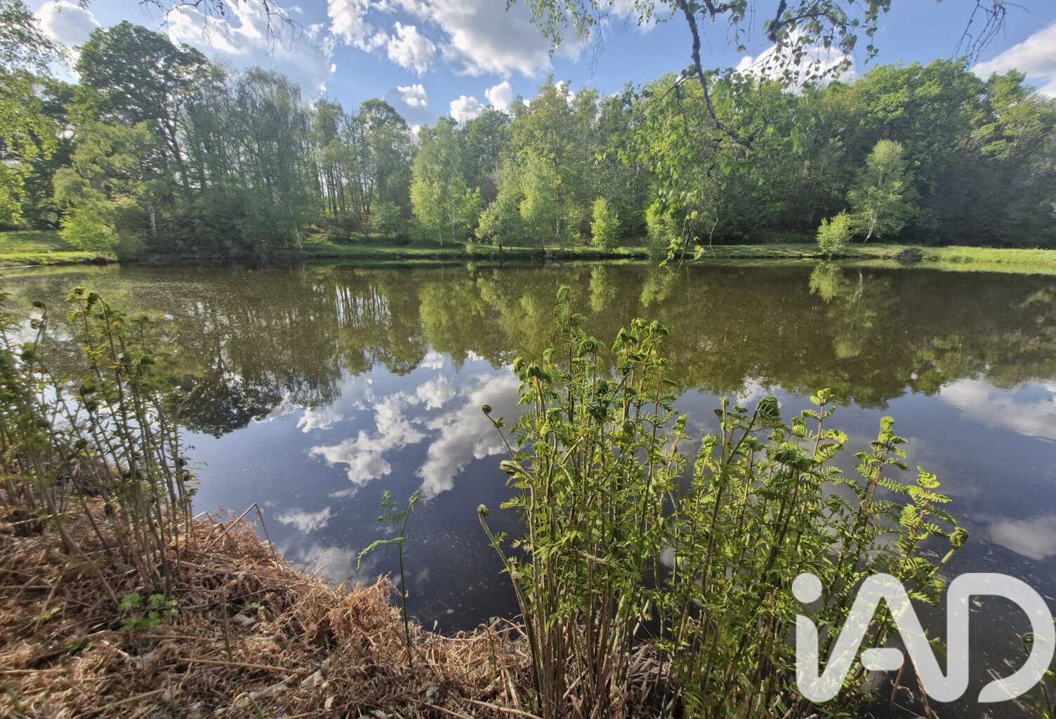Vente Terrain 22 449 m&sup2; — photo 1