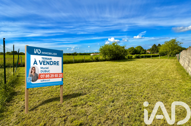 Terrain  55000 €