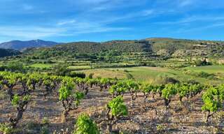 Terrain  569 m² à vendre à Montpeyroux (34150)