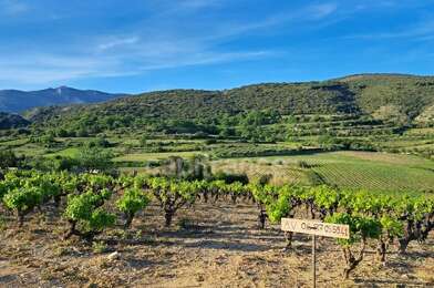 Terrain  209000 €