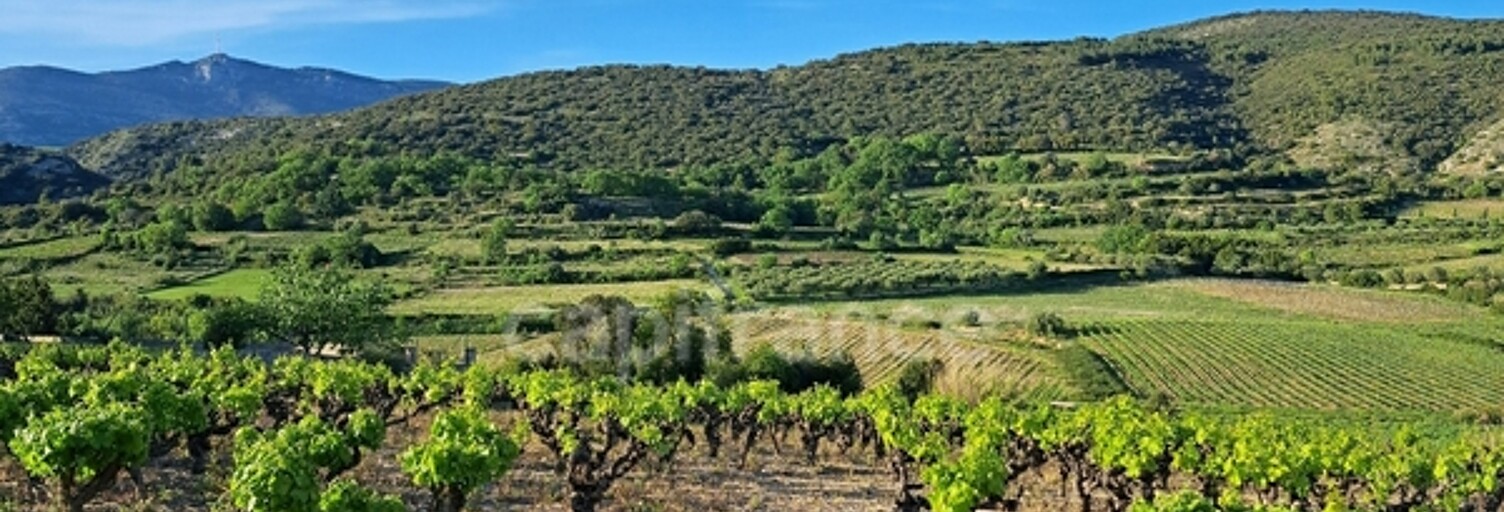 Terrain  2425 m² à vendre à Montpeyroux (34150)