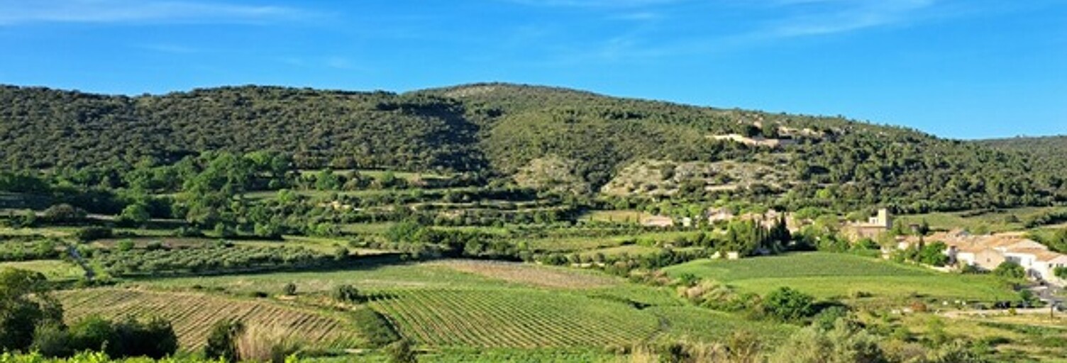 Terrain  569 m² à vendre à Montpeyroux (34150)