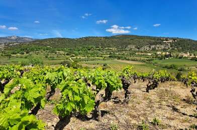 Terrain  209000 €