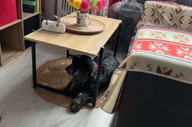 Maison 1 pièces 137500 €