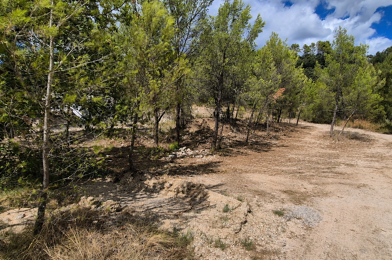 Terrain  185000 €