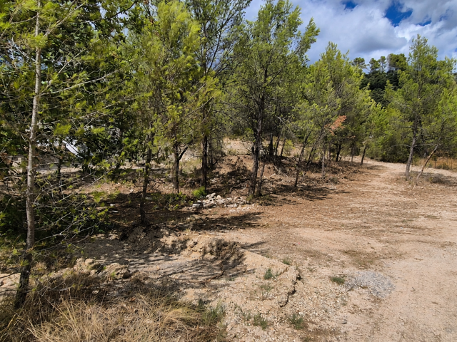SAINT MATHIEU DE TREVIERS 10MN TERRAIN A BATIR DE 1172M2 HOR — photo du bien