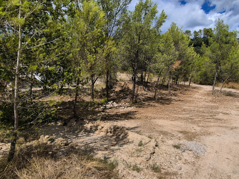 SAINT MATHIEU DE TREVIERS 10MN TERRAIN A BATIR DE 1172M2 HOR — photo 1