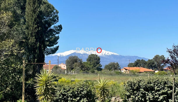 Villa / Maison 5 pièces  à vendre Laroque-des-Albères 66740