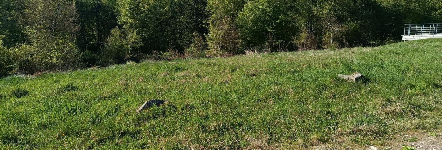Terrain  1130 m² à vendre à Chantraine (88000)