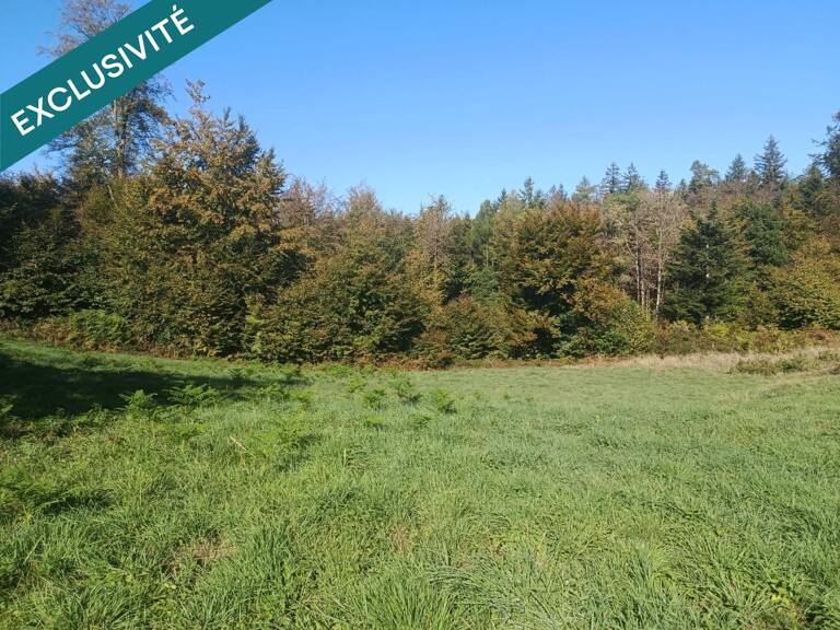 Terrain constructible déjà viabilisé — photo 1