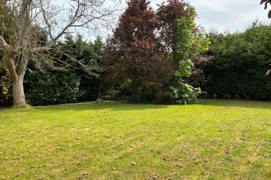 Terrain  110000 €
