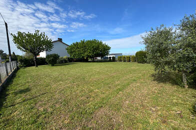 Terrain  49000 €