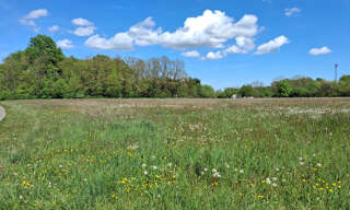 Terrain  2620 m² à vendre à Chantecoq (45320)