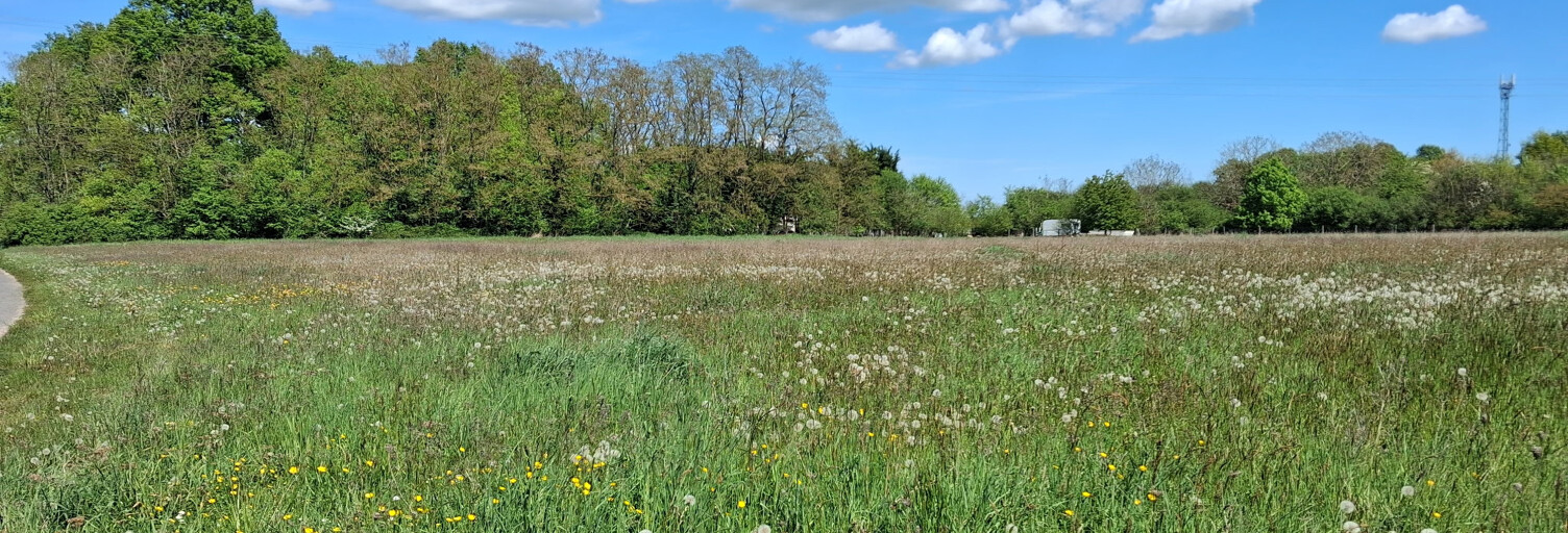 Terrain  2620 m² à vendre à Chantecoq (45320)
