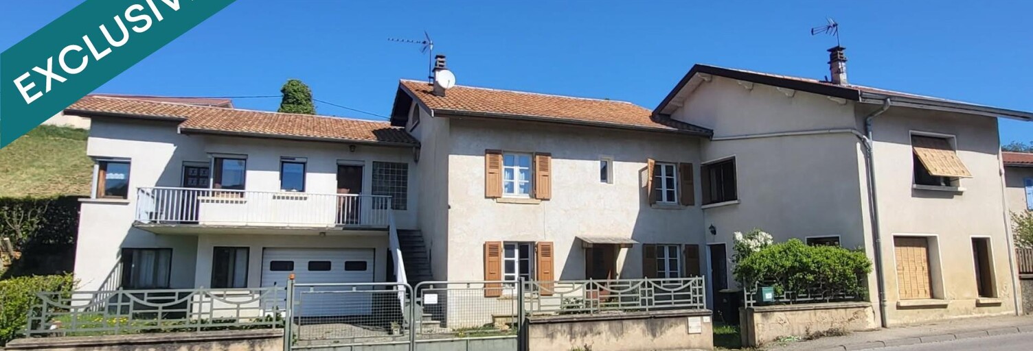 Maison 8 Pièces 260 m² à vendre à Vernioz (38150)