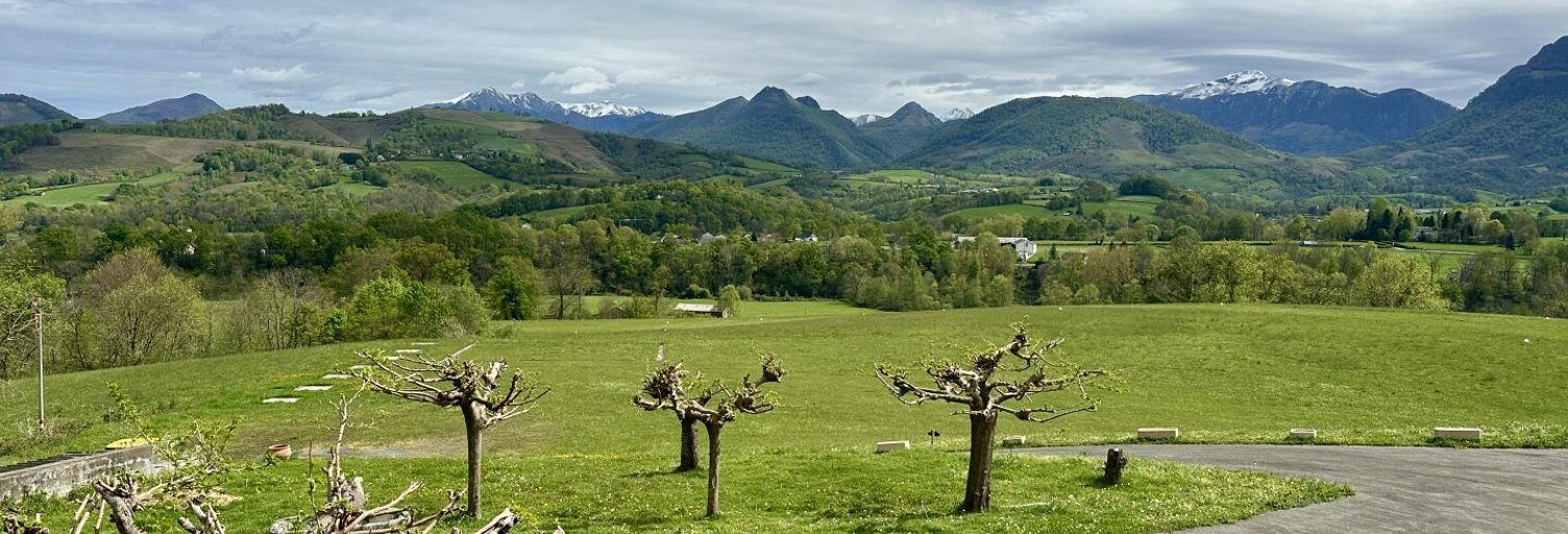 Photo N° 2