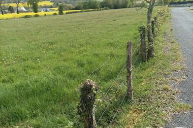 Terrain  50000 €