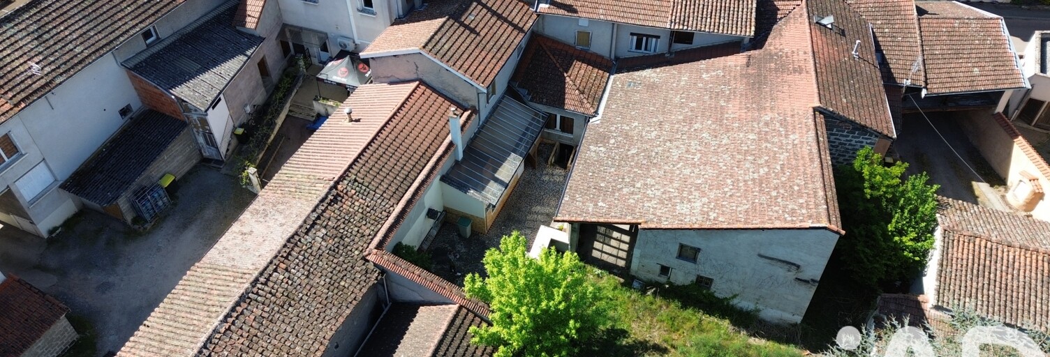 Maison 11 Pièces 250 m² à vendre à Nervieux (42510)