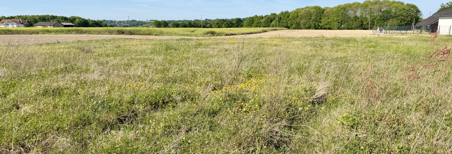 Terrain  2200 m² à vendre à Morlanne (64370)