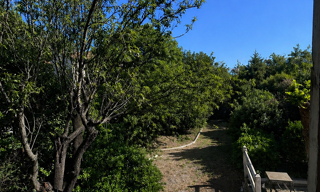 Photo N° 2