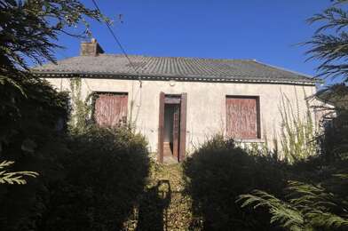 Maison 3 pièces 45000 €