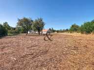 EXCLUSIVITÉ CANDÉ-SUR-BEUVRON - Terrain à bâtir de 1503 m² — photo 2
