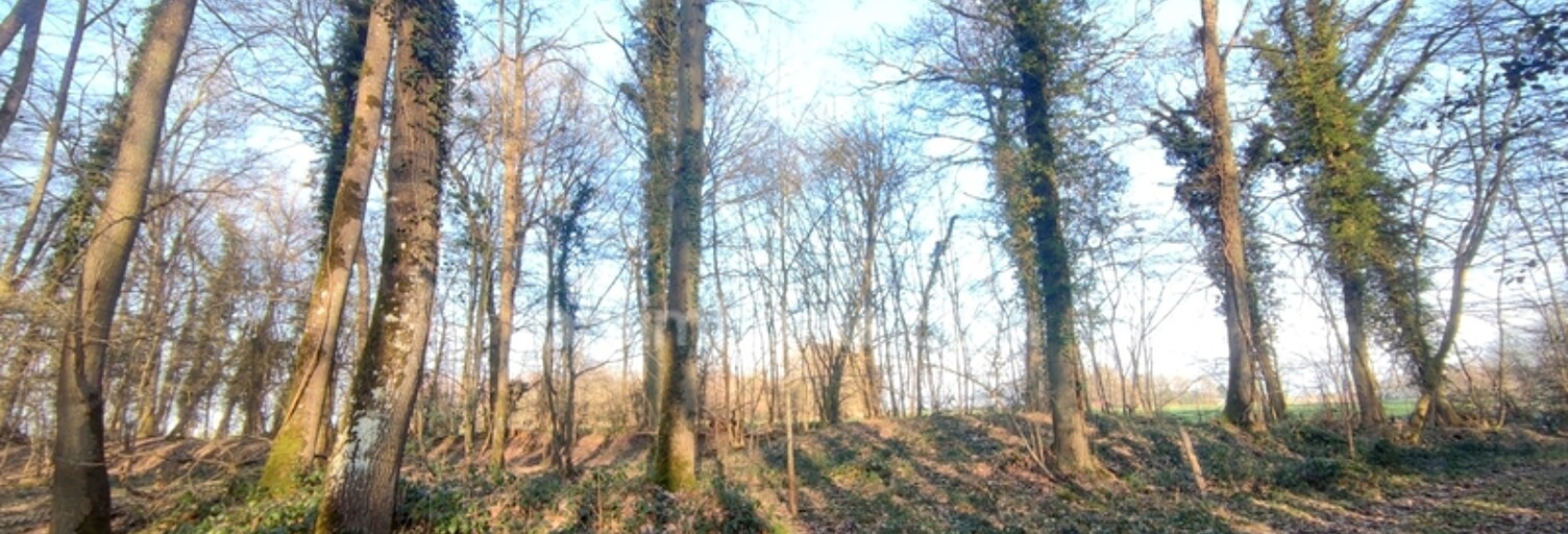 Maison  3640 m² à vendre à Sylvains-Lès-Moulins (27240)