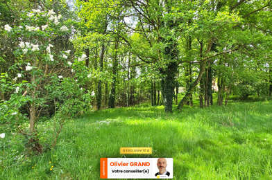 Terrain  55000 €
