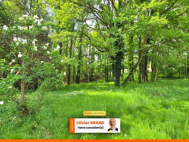 Terrain 6 365,00 m² SAINT JUNIEN (87) - Environnement campagne — photo du bien