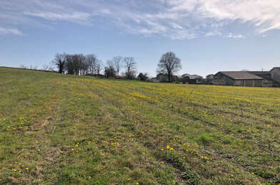 Terrain  170000 €
