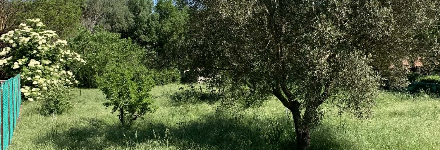 Terrain 1250 m² à construire Carcès (83570)