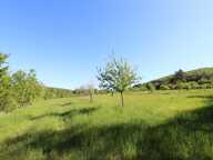 Terrain à vendre de 4 015,00 m² dont 870 m² constructibles LA BUSSIERE SUR OUCHE (21) — photo 3
