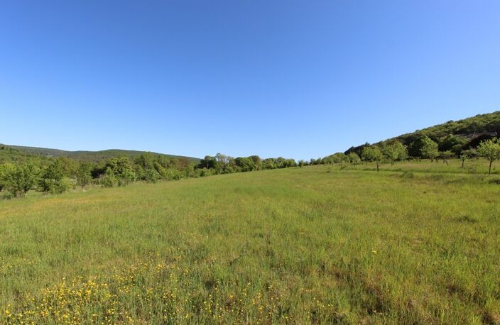 Terrain à vendre de 4 015,00 m² dont 870 m² constructibles LA BUSSIERE SUR OUCHE (21) — photo 5